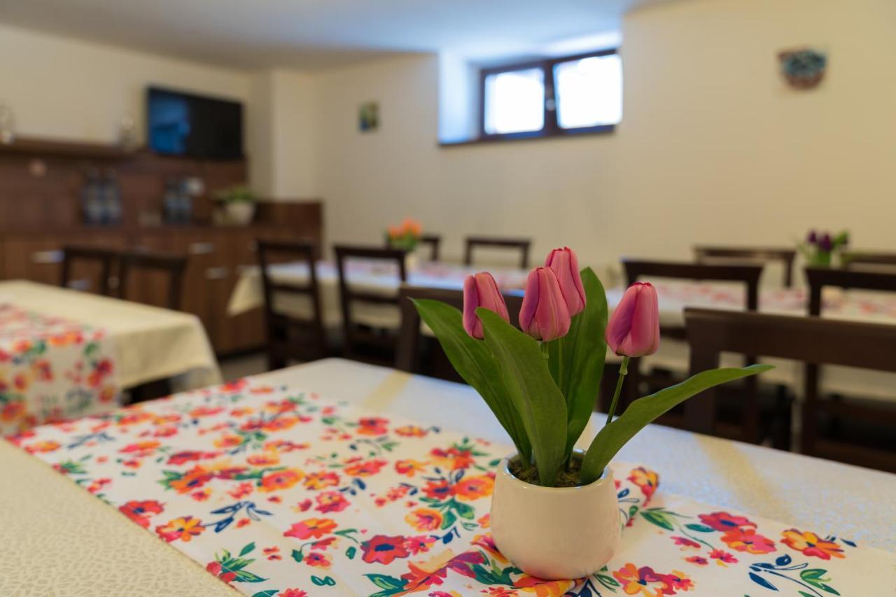 Pensiunea Transilvania Guest house